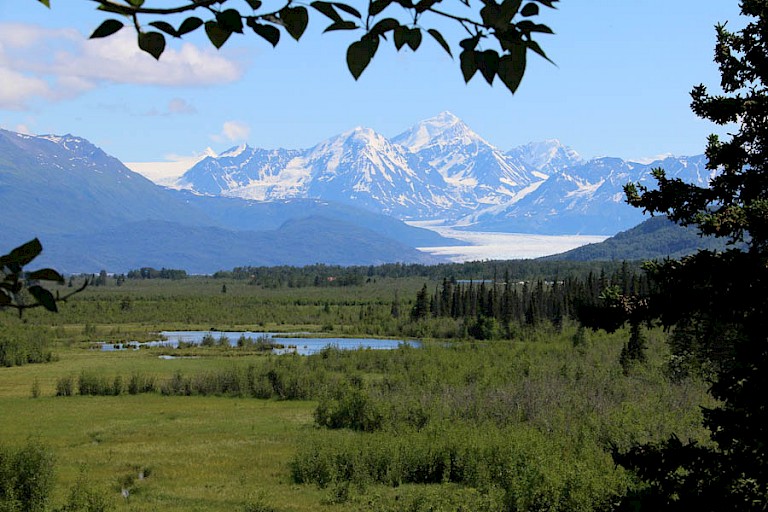 Uitzicht op de Knikgletsjer.