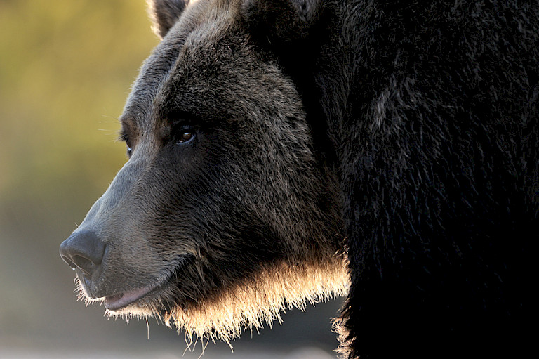 Prachtige tegenlicht. Foto: André Gilden.