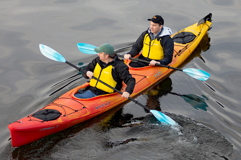 Kajakken in de rustige baaien is een heerlijke ontspanning.
