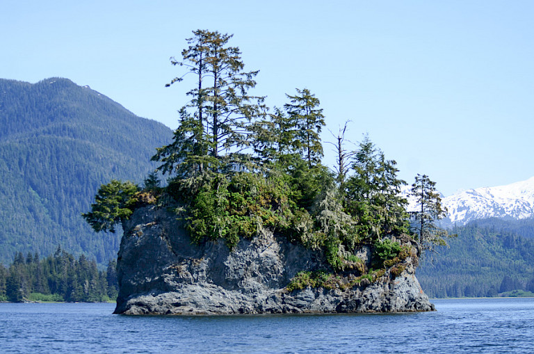 Het typische landschap van de Inside Passage.