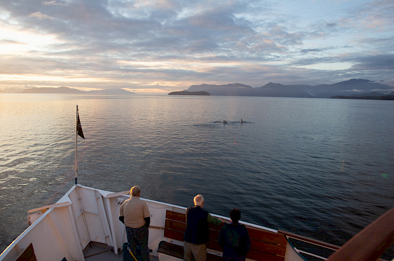 Vanaf het voordek Bultruggen kijken in de Frederick Sound.