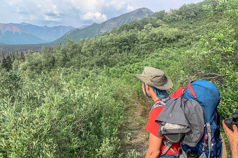 Cottonwood Trail, Kluane NP, Yukon. Foto: Muktuk Adventures.