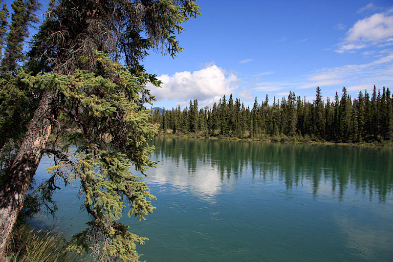 De Takhini rivier tussen Whitehorse en Haines Junction.