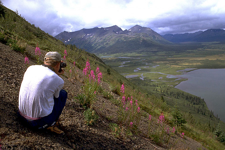 Het toendra landschap in de Upper Canyons van Yukon.