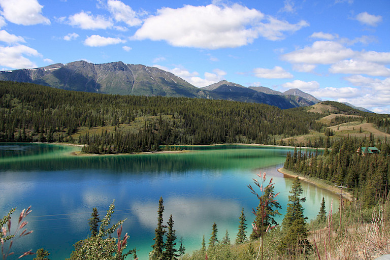 Langs de Klondike Highway.