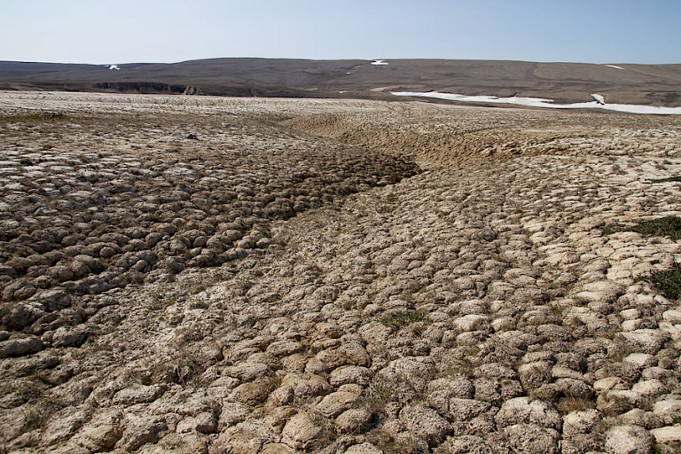 Hoger gelegen droge toendra op Sommerset.