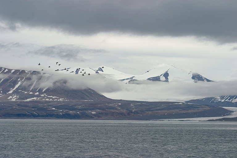 Bylot Island