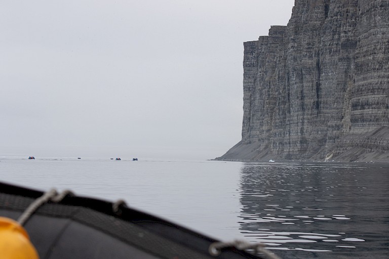De steile kliffen waarop zeevogels in grote kolonies broeden.