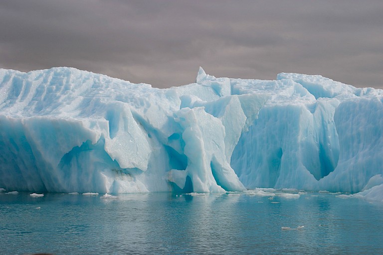 Bij Ellesmere zijn grote gletsjers die dagelijks ijsbrokken zee in drijven.