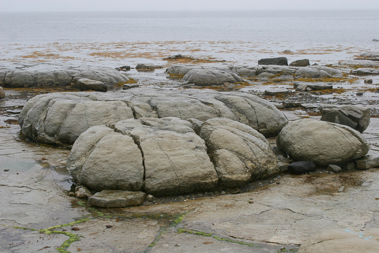 Stromatolieten langs de westkust van Newfoundland.