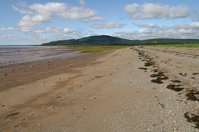Een van de stranden bij Fundy Bay NP.
