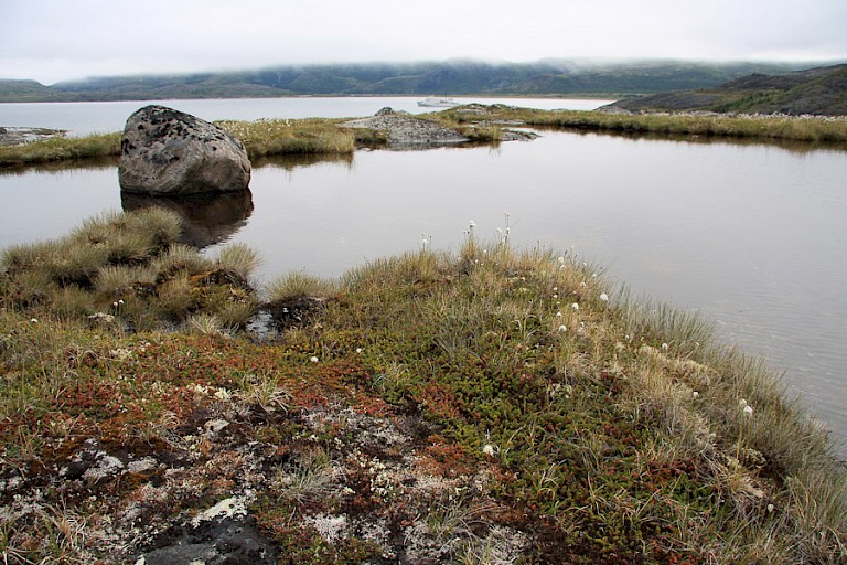 Vallei inde omgeving van Okak.