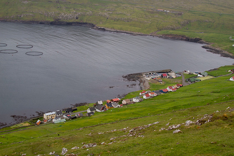 Huizen langs de fjord.