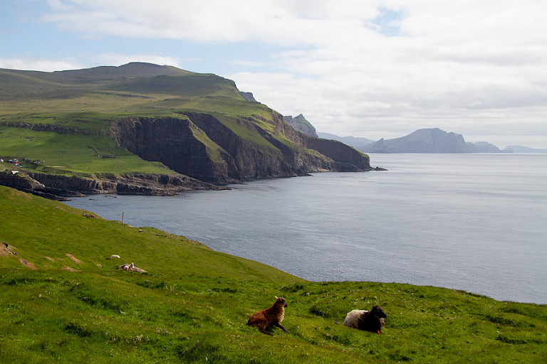 Uitzicht over de westkust van Sandoy.