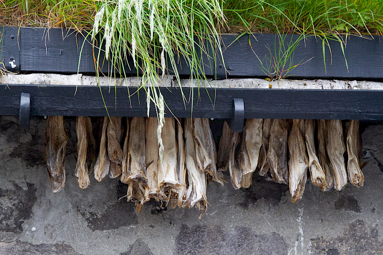 Stokvis op traditionele manier gedroogd.