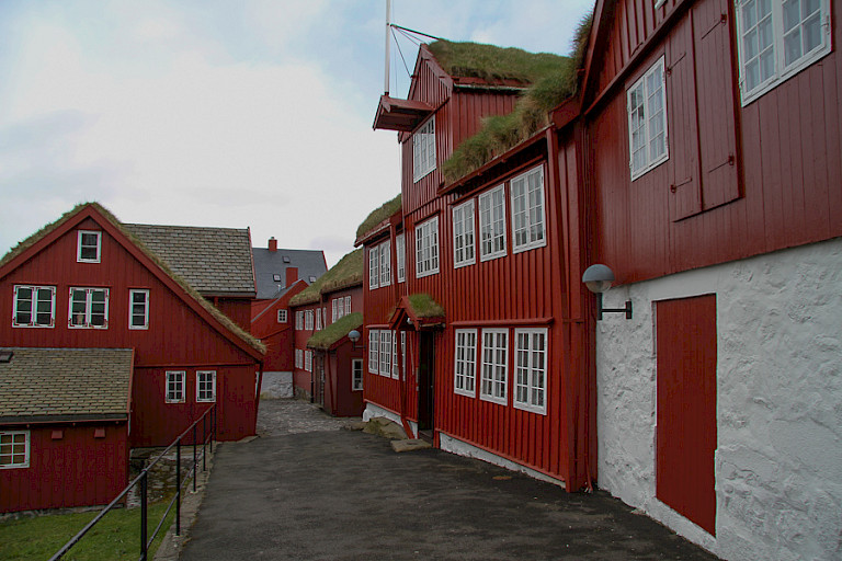 Kleurrijke huizen en gebouwen met begroeide daken in Tórshavn.