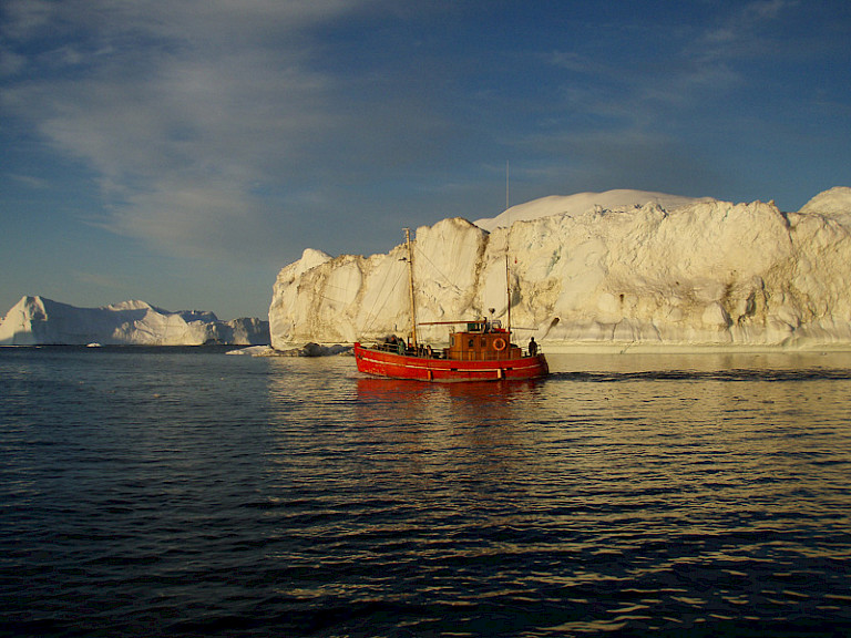 Bootexcursie naar de ijsbergen vanuit Ilulissat.