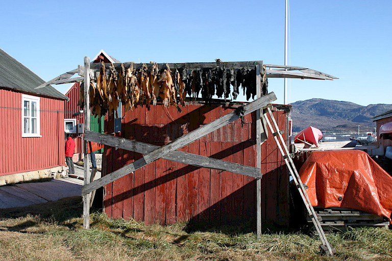 Excursie naar Rodebaai (Oqaatsut): traditionele huisje met visdroogrek.
