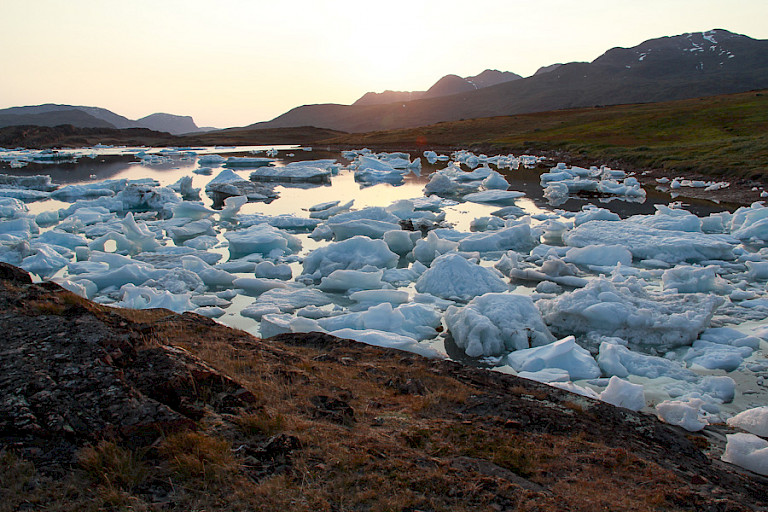 Fjord met ijsbergjes, een veelvoorkomend beeld in Zuid-Groenland.