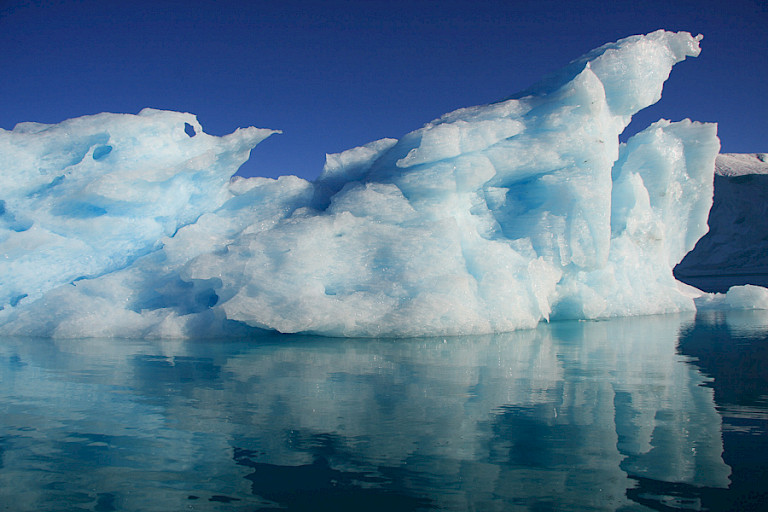 IJsbergen drijven voorbij in de Scoresby Sund.