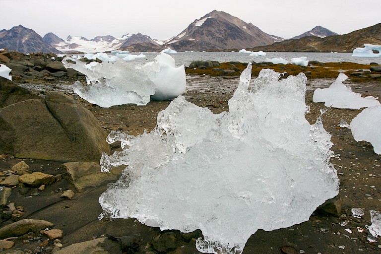 IJsbrokken op het strand afkomstig van de gletsjers in de omgeving van Kulusuk.