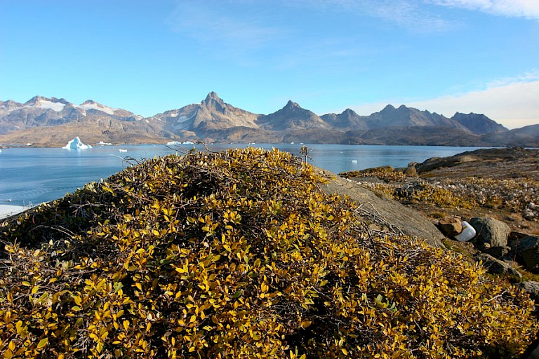 Het ruige landschap van Oost-Groenland.