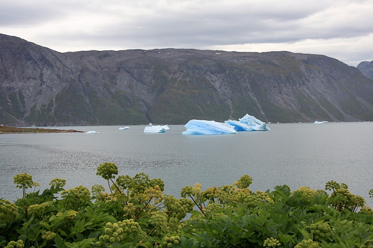 ijsberg in de omgeving van Narsaq, Zuid-Groenland.