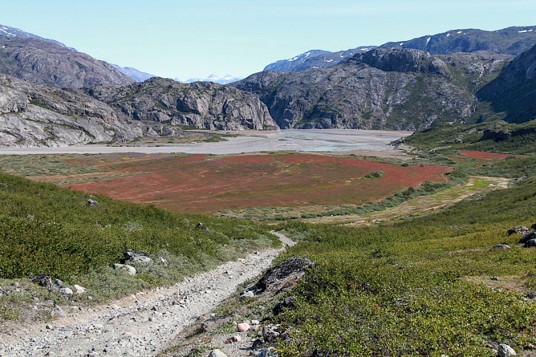 Weg naar het uitzichtpunt op de Qoorooqgletsjer, Zuid-Groenland.
