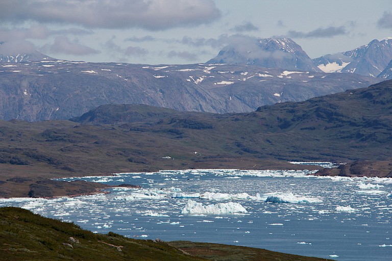 Fjord met ijsbergjes, een van de velen in Zuid-Groenland.