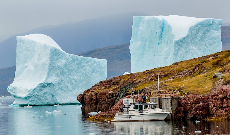 IJsbergen bij de haven van Narsaq.