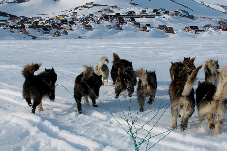 Hondensledetocht Ittoqqortoormiit, Oost-Groenland. Foto: Floortje Dessing.