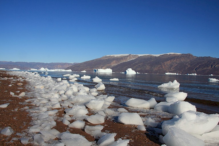 Na een winderige dag ligt het strand bezaaid met ijsbrokken.