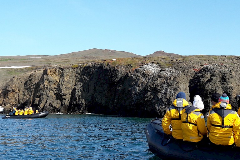 Tijdens een zodiaccruise in de Deichmann Fjord wordt er een ijsbeer gezien.