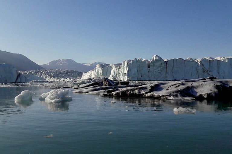 Met de zodiac varen we langs ijsbergen in allerlei soorten en maten, Walterhausen gletsjer.
