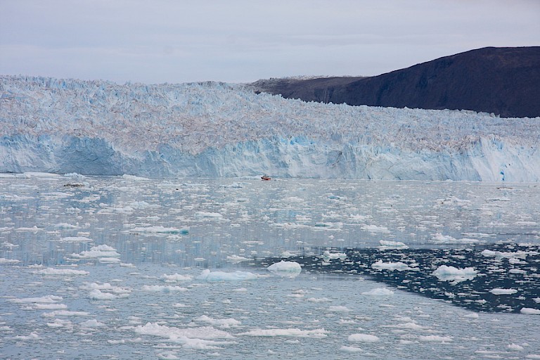 Het indrukwekkende gletsjerfront van de Eqi Sermia.
