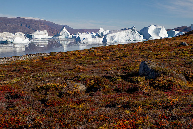 Gestrande ijsbergen bij Røde Ø.