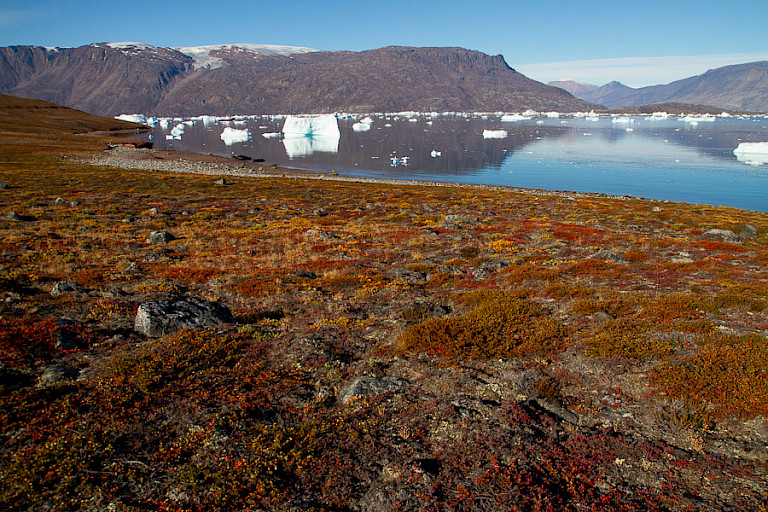 Toendra van Røde Ø.
