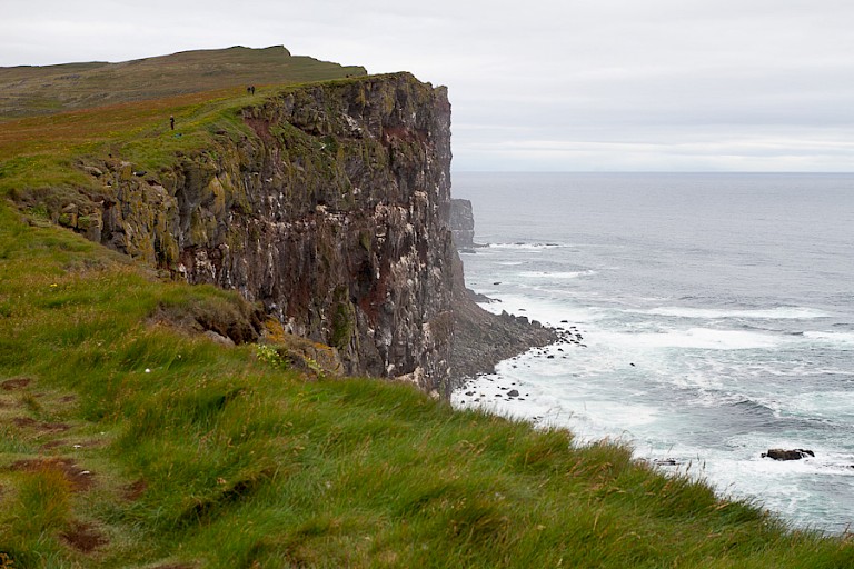 Kliffen met nestelende zeevogels, Latrabjarg, IJsland.