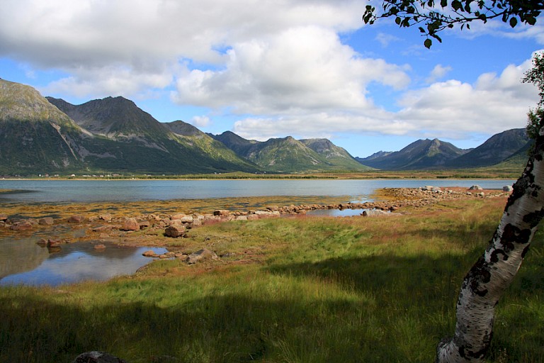 Rustiek landschap van de Lofoten.