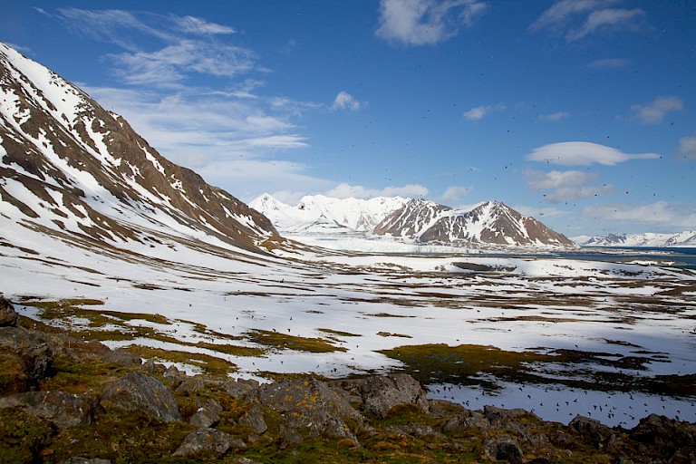 Aan land bij Isbjørnhamna achter het Poolse station in de Hornsund, Spitsbergen.