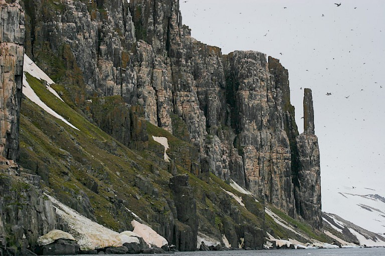 Alkefjellet met een grote zeevogelkolonie, o.a. Zwarte en Kortsnavelzeekoeten.