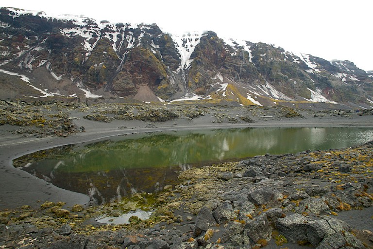 Kvalrusbukta op Sør-Jan (Jan Mayen).