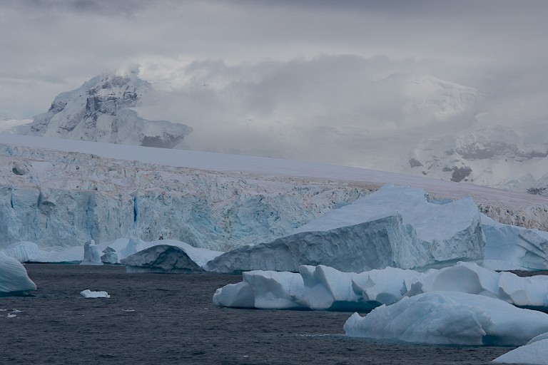 Gletsjerfront en ijsbergen bij Cuverville.