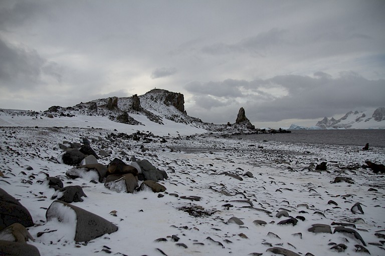 Nieuwe sneeuw aan het einde van de zomer op Half Moon, South Shetlandeilanden.