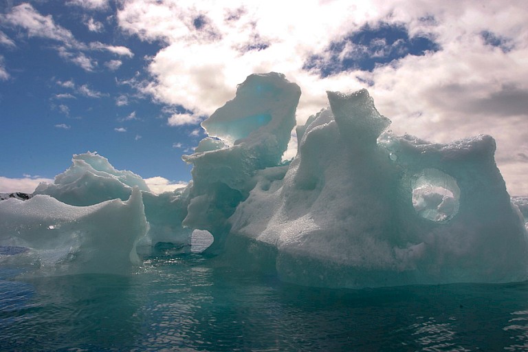 Overal bij het Antarctisch Schiereiland dobberen mooi gevormde ijsbergen rond.