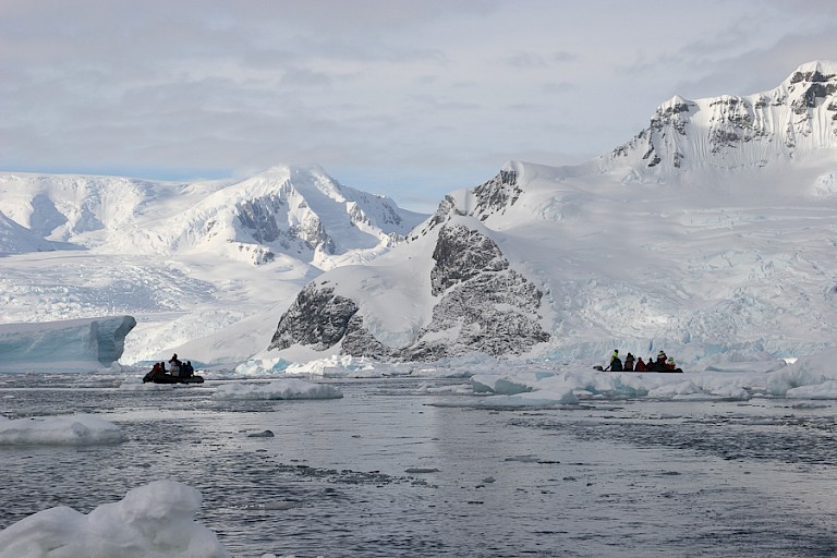 Zodiactocht langs de gletsjers en tussen de ijsbergen.