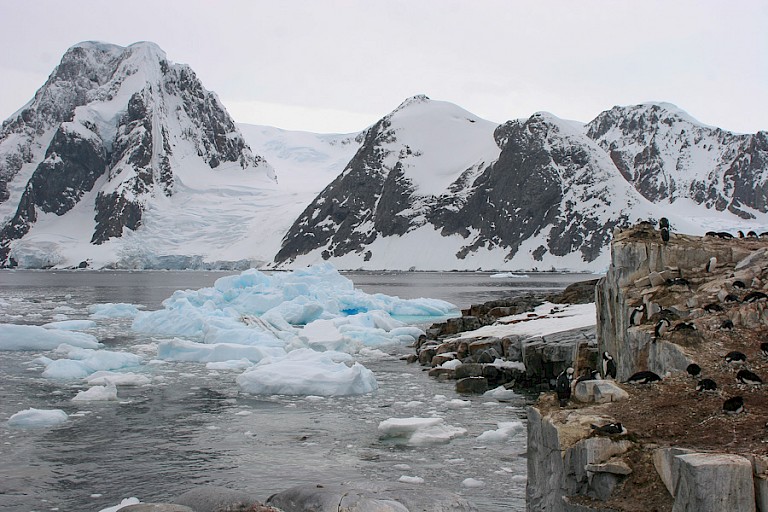 Landschap Petermann richting Lemairekanaal.