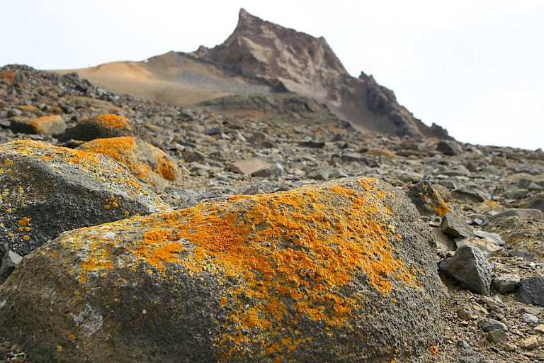 Landschap met een van de "horens" op Devil.
