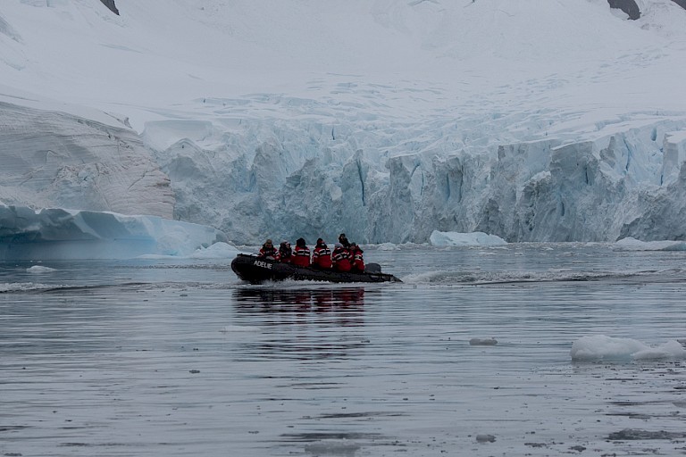 Zodiactocht langs het gletsjerfront in Paradise Bay.