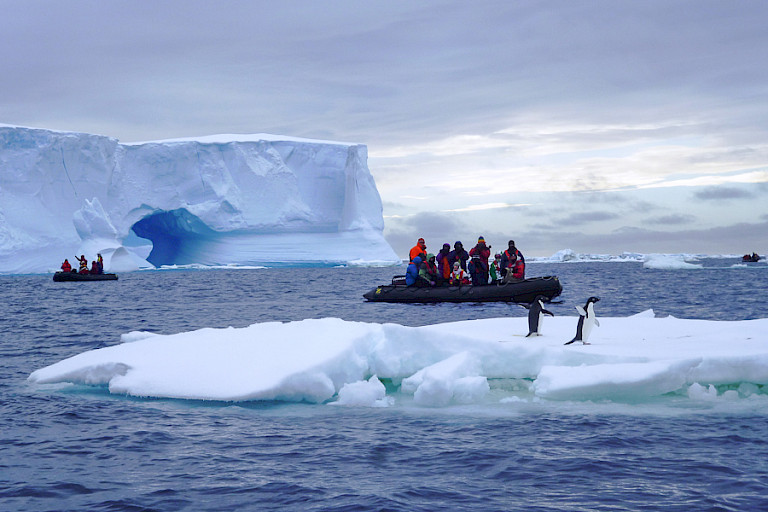Enorme ijsbergen drijven rond in Rosszee (Antarctica).